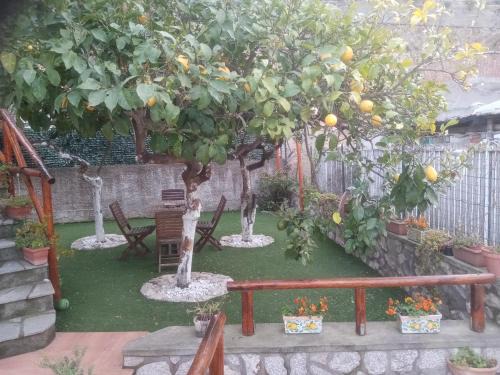Marina Grande House | Pet-Friendly Retreat at LA Giulia - Guest Rated 9.9/10