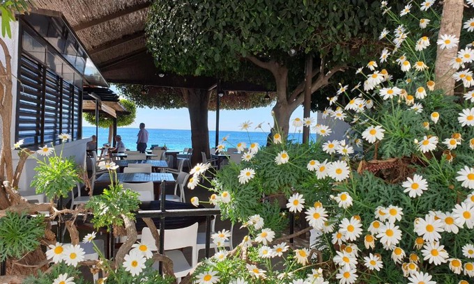 Agua Amarga House | Oceanfront Family Retreat at La Hoya - Rated 8.1/10