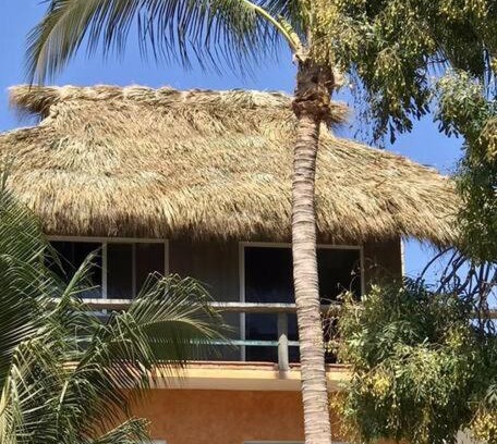 Brisas de Zicatela Apartment | Pet-Friendly La Isla Bonita - Perfect for Family Getaways