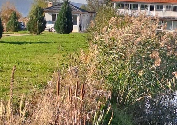 Voila House | Family-Friendly Retreat at La Izvoare Pensiune-Păstrăvărie