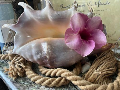 Trou d'Eau Douce House | Oceanfront Relaxation at La Koquillishe - Rated 9/10