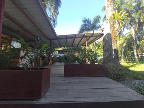 Big Creek Bed & Breakfast | Pet-Friendly La Luciernaga with Ocean View & Breakfast