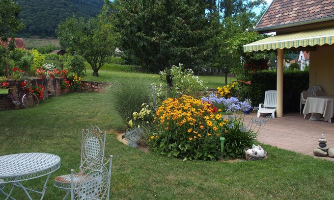 Chatenois House | Peaceful Retreat in Centre Alsace with Spa & Breakfast