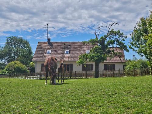 Saint-Riquier House | Discover Family-Friendly Comfort at La maison de Jean