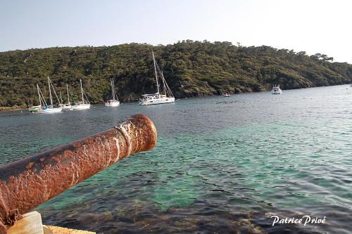 Port-Cros Bed & Breakfast | Experience Oceanfront Bliss at La MAISON du PORT