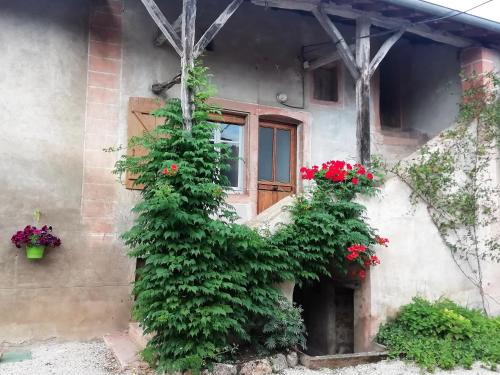 Prety Apartment | Child-Friendly Retreat at La Maison MOJA – Rated 9.1/10