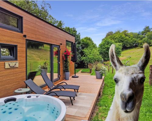 Redu Ski Chalet | Inviting La Mini Maison dans la Prairie with Ocean Views