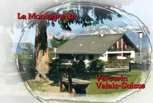 Vercorin Apartment | Pet-Friendly La Montagnette with Ocean Views in Vercorin
