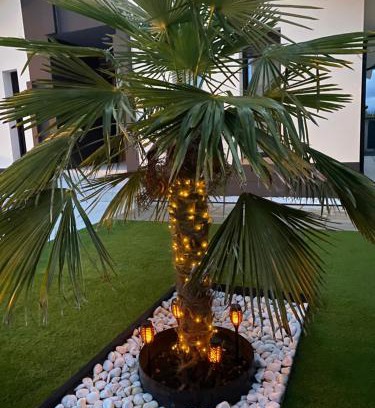 La Lastrilla House | Oceanfront Retreat at La Palmera del Sotillo - Rated 9.9/10