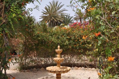 Massa House | Pet-Friendly Oasis at La Palmeraie De Massa with Ocean Views