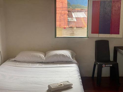 Pensilvania Hotel | Pet-Friendly Retreat at La Posada de Martha Awaits You