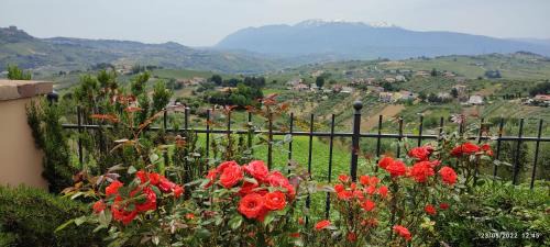 Bucchianico House | Experience La Presentosa: Guest Rated 10/10 Stay