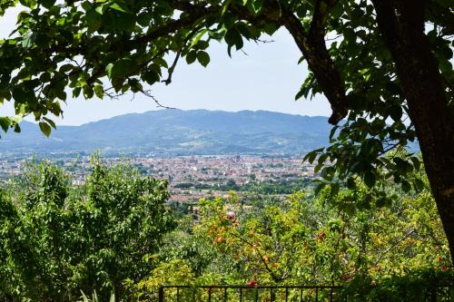Pistoia Apartment | Experience Nature at La Salvia di Villa Pacinotti, Tuscany