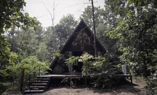 Turiya Resort | Discover LA SELVA Resort: A Pet-Friendly Retreat in Pench