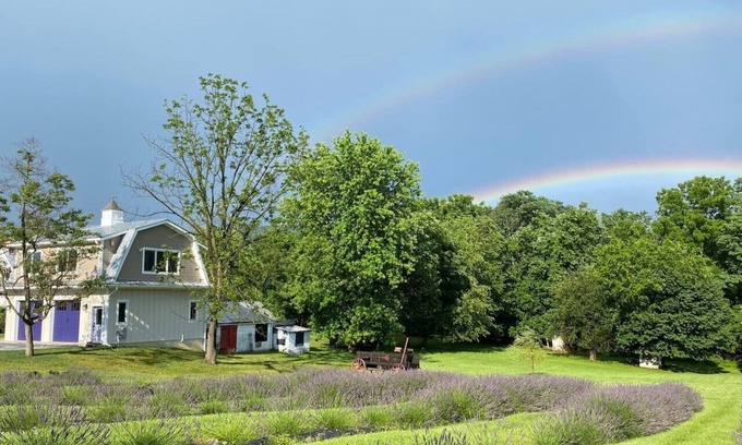 Harpers Ferry Other | Experience a Magical Stay at Lavender Farm Guesthouse