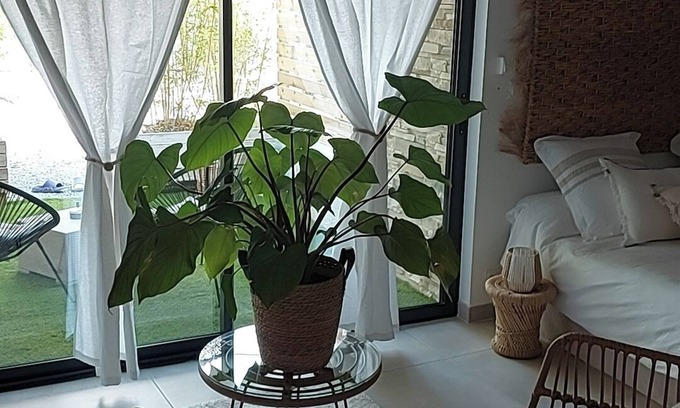 Maraussan Apartment | La Suite Soledad