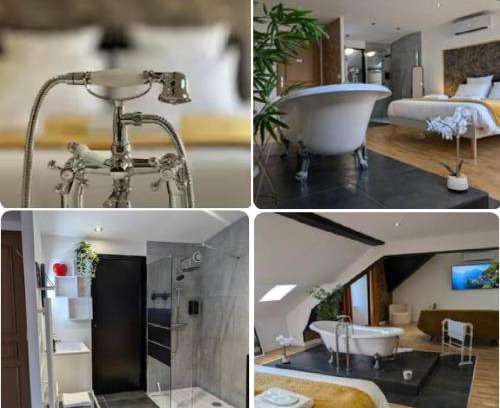 Montlucon Apartment | La Suite - Villa Valmy - Hypercentre - Gare SNCF