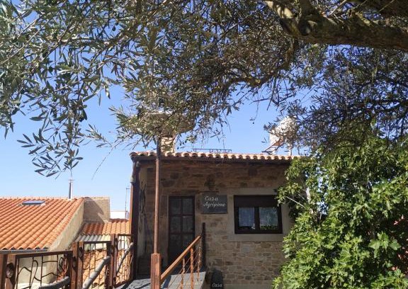 Aldeadavila de la Ribera Apartment | Discover Family-Friendly Comfort at La Teodora Hotel