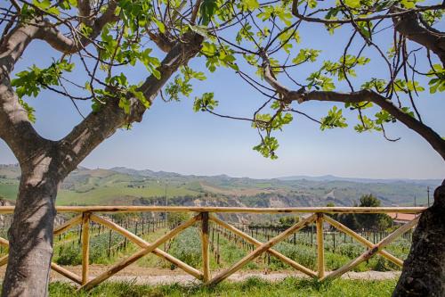 Offida Bed & Breakfast | Exceptional Stay at La Terrazza sul Vigneto - Family Friendly