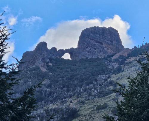 Meliquina Ski Chalet | Pet-Friendly Retreat at La Torre del Rio Awaits You