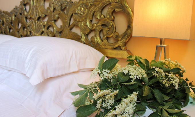 Santo Stefano di Magra Hotel | La Trigola