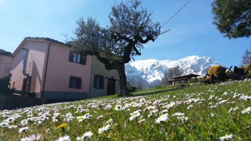 Arsita House | Highly Rated La via del parco: Pet-Friendly & Family-Oriented