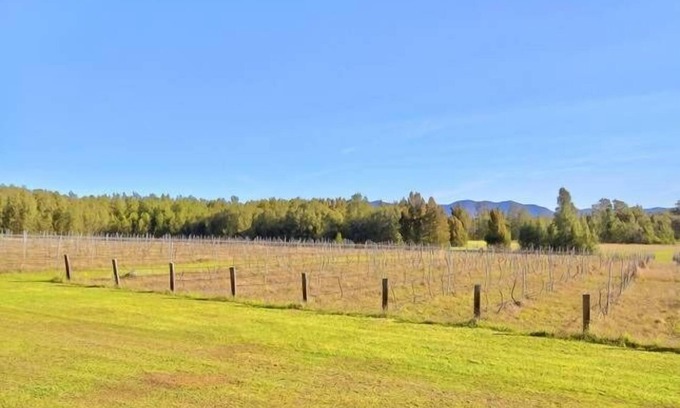 Pokolbin House | Unforgettable Stay at La Vigna Vineyard for 40 Guests