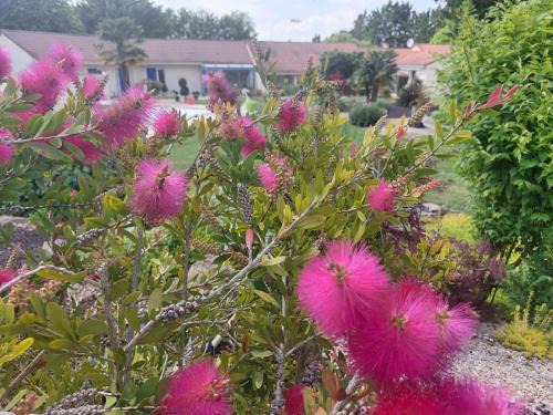 Neuville-de-Poitou House | Lagalerne