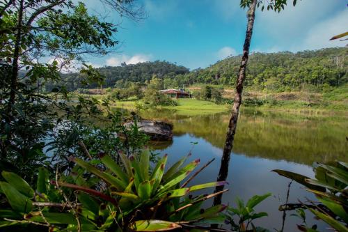 Tapirai Hotel | Experience Lago 7 Cores: Pet-Friendly with Pool & Dining