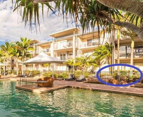 Kingscliff Apartment | Relaxing Lagoon Pool Access at Salt Resort & Spa