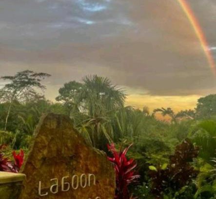 Cacatachi Cabin | Experience Lagoon Village B&B y SPA: Guest Rated 10/10!