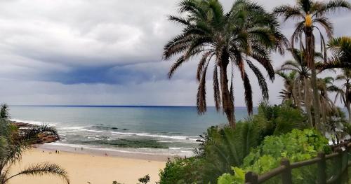 Margate Apartment | Exceptional Laguna 75: Oceanfront Bliss with Pool Access