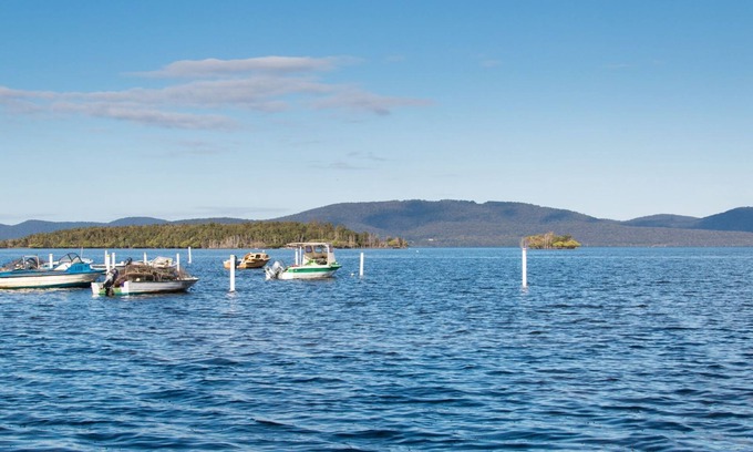 Green Point House | Explore Laguna House: 100m from Wallis Lake, Pet Friendly