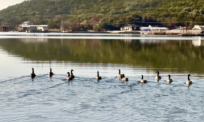 Graham Cabin | Pet-Friendly Lakefront Cabin Weekend Getaway Awaits You
