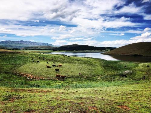 Himeville Apartment | Discover Lake Glencairn: Family-Friendly & Accessible Retreat
