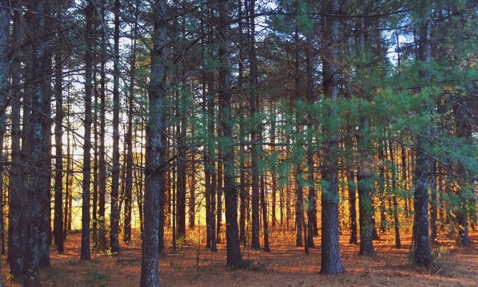 Morganton House | Tranquil Lake James Retreat: Nature, Kitchen & Breakfast Included