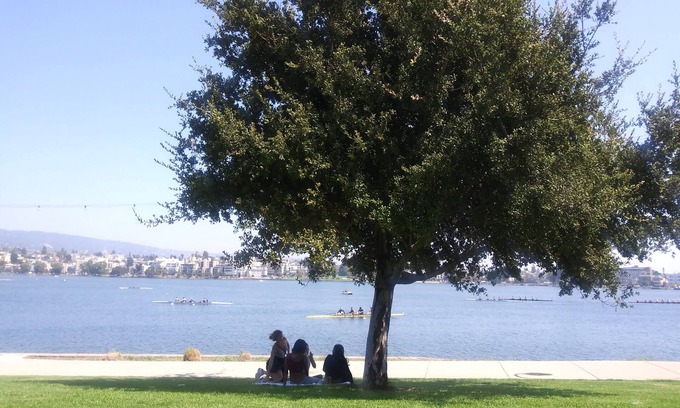 Grand Lake Apartment | Cozy Lake Merritt Studio #3 with Pet-Friendly Amenities