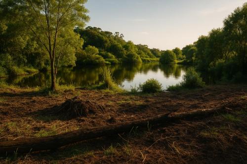 Hibiscus Coast Other | Lake side Caravan site - 1500 square meters of nature & private fishing