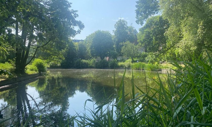 Tempelhof Apartment | Scenic Lake Side Park: Oceanfront Family Retreat Awaits