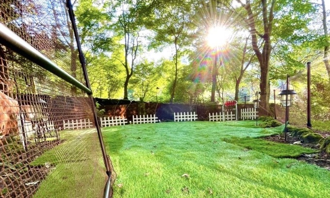 Kitasaku-gun Cottage | Dog-Friendly Lake View Cottage with Well-Equipped Kitchen