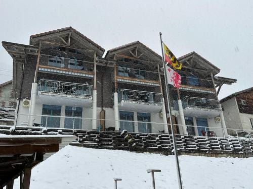Niederried bei Interlaken Apartment | Family-Friendly Lake View Residence with High Guest Ratings