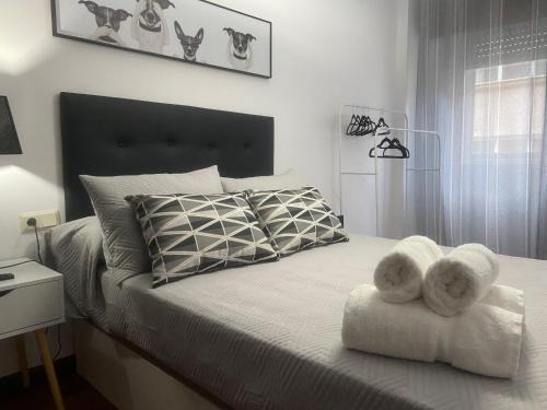 Lalin Apartment | Discover LALIN CENTRO URBANO: Perfect for Pet Lovers