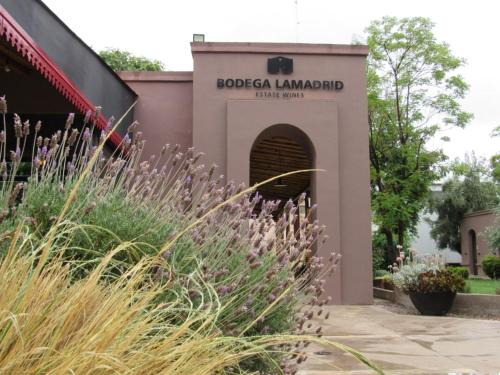 Cuyo Bed & Breakfast | Discover Lamadrid Guest House: Family-Friendly Retreat