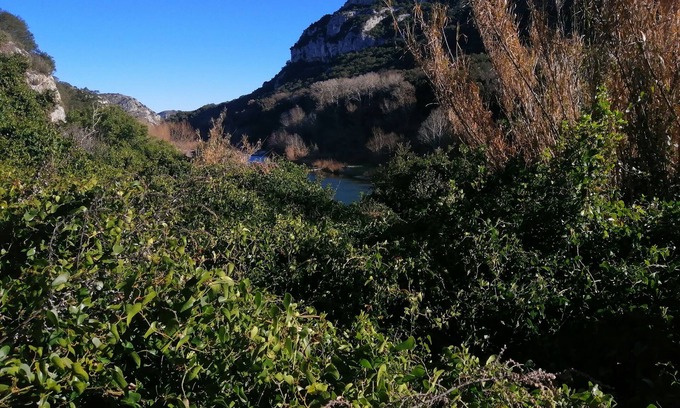 Notre-Dame-de-la-Rouviere Apartment | Discover Lamedoune: Inviting Apartment with Pool in Cévennes