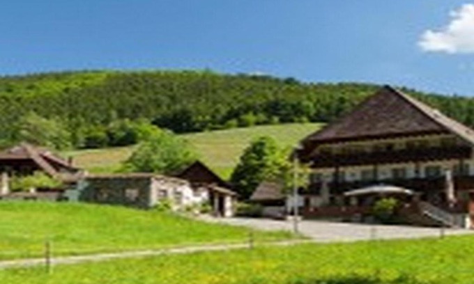 Simonswald Hotel | Cozy Landgasthaus Grüner Baum: Pool, Dining & Family Fun