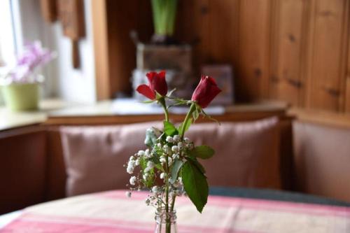 Regnitzlosau Hotel | Pet-Friendly Landgasthof Grüner Baum with Ocean Views