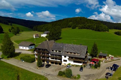 Titisee-Neustadt Hotel | Discover Landgasthof Jostalstüble: Pet-Friendly Retreat