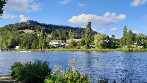 Ralingen Hotel | Welcoming Landgasthof Ralinger Hof: Pet-Friendly Retreat