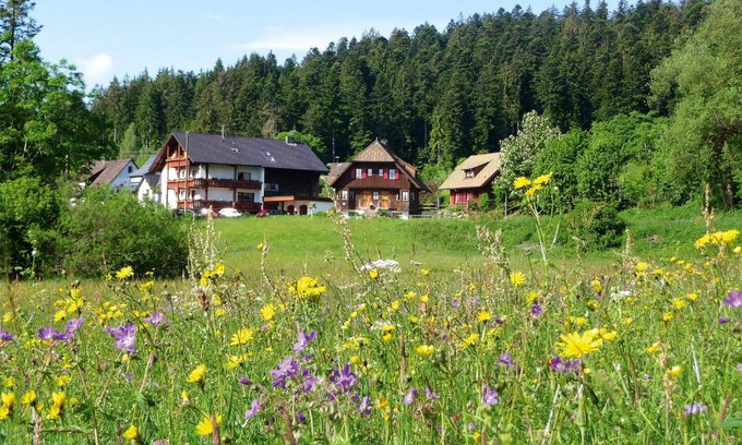 Lauterbad Apartment | Pet-Friendly Retreat at Landhaus Anja - Rated 9.2/10