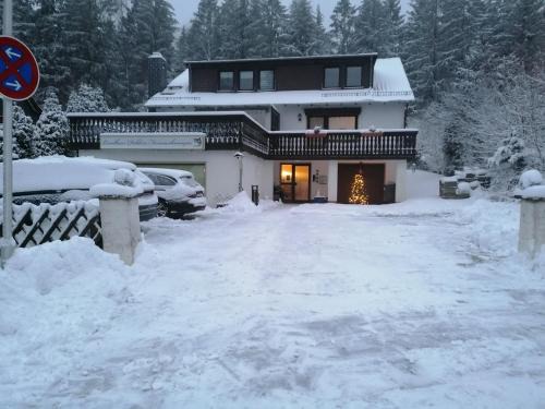 Bockswiese Apartment | Pet-Friendly Retreat at Landhaus Dahlem for Families